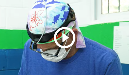 Global Dental Relief: Dental Volunteer Overview